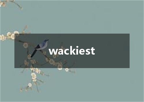 wackiest是什么意思
