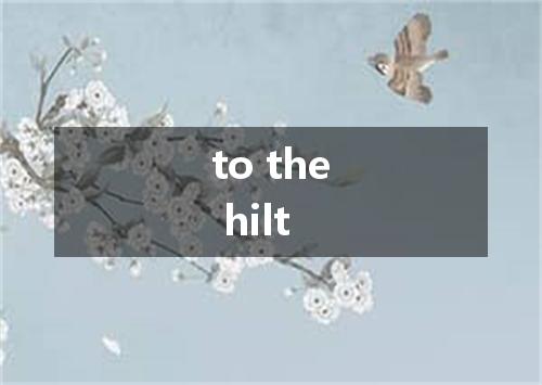 to the hilt是什么意思