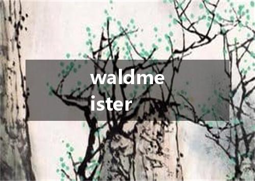waldmeister是什么意思