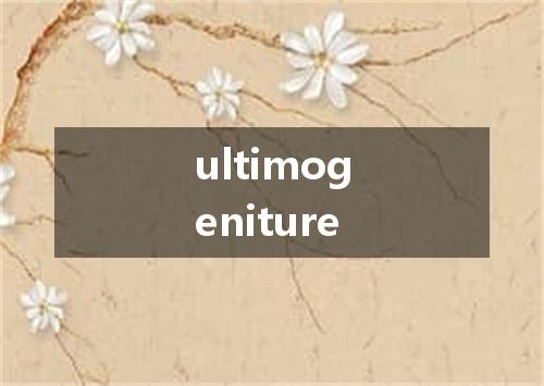 ultimogeniture是什么意思