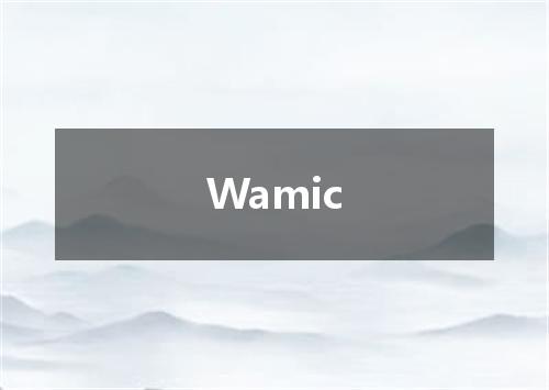 Wamic是什么意思