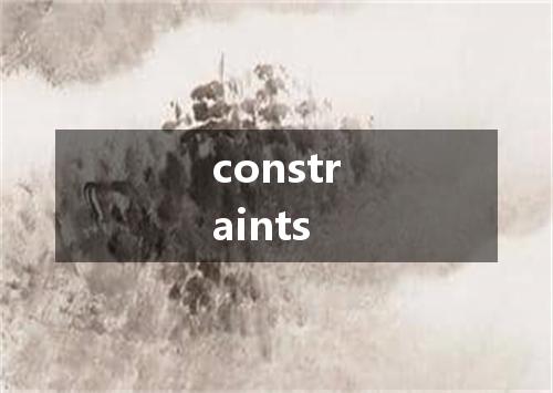 constraints是什么意思
