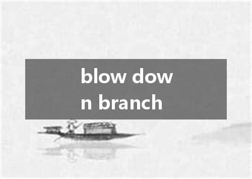 blow down branch是什么意思