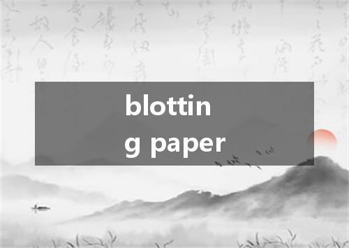 blotting paper是什么意思