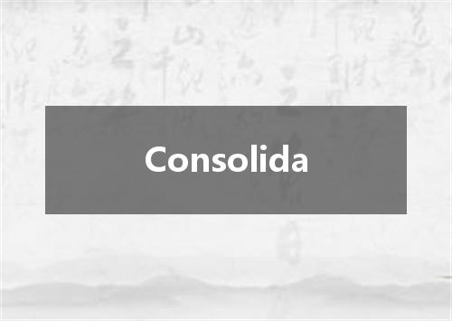 Consolida是什么意思