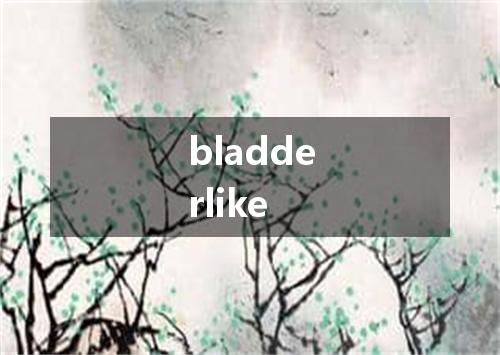 bladderlike是什么意思
