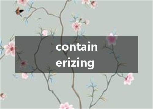containerizing是什么意思