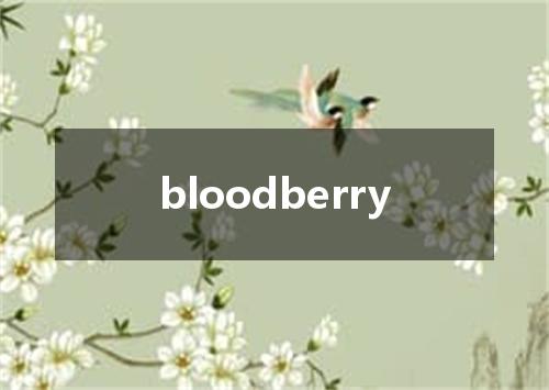 bloodberry是什么意思