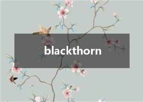blackthorn是什么意思