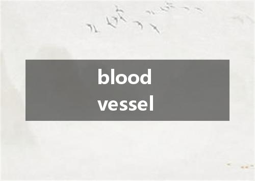 blood vessel是什么意思