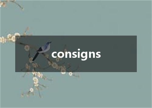 consigns是什么意思