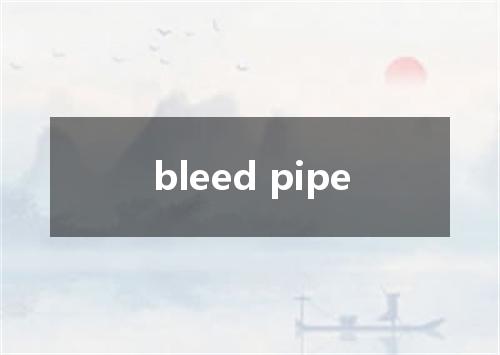 bleed pipe是什么意思