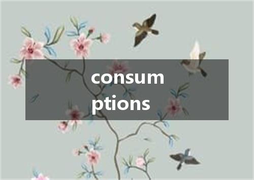 consumptions是什么意思