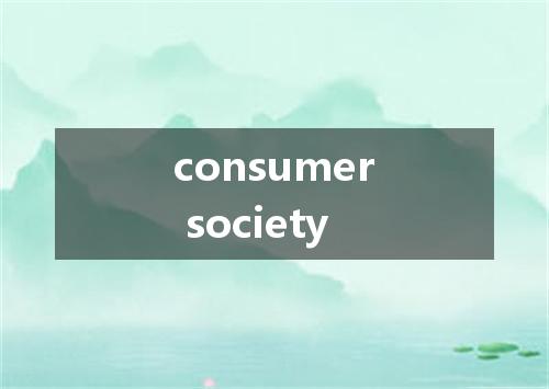 consumer society是什么意思