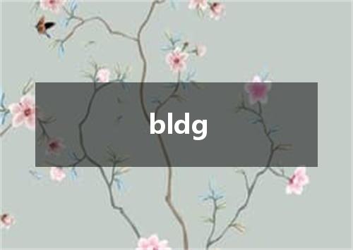 bldg是什么意思
