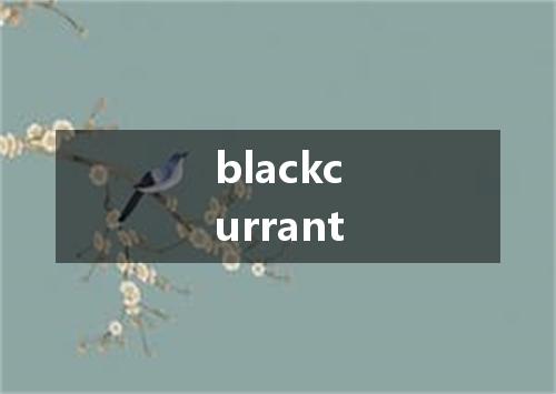 blackcurrant是什么意思