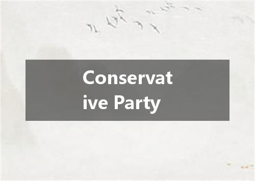Conservative Party是什么意思