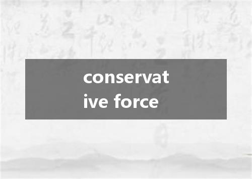 conservative force是什么意思