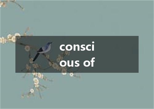conscious of是什么意思