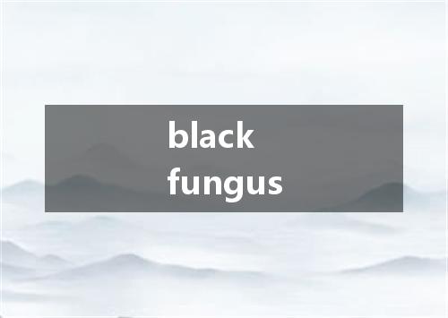black fungus是什么意思
