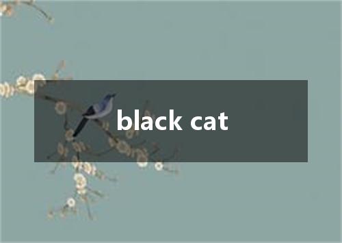 black cat是什么意思