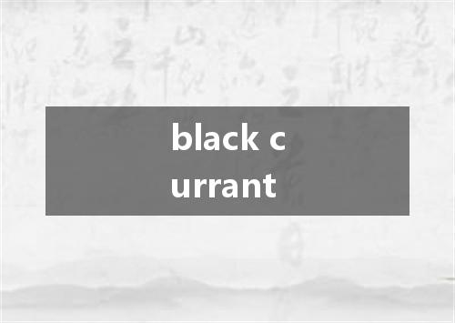 black currant是什么意思