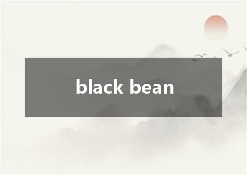 black bean是什么意思