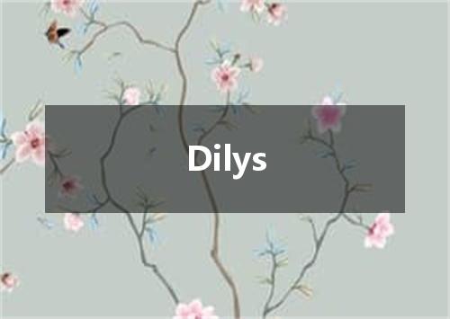 Dilys是什么意思