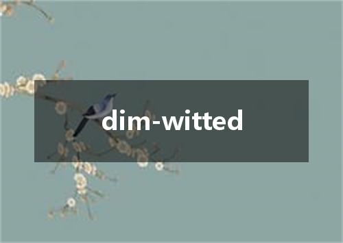 dim-witted是什么意思