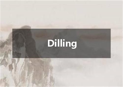 Dilling是什么意思