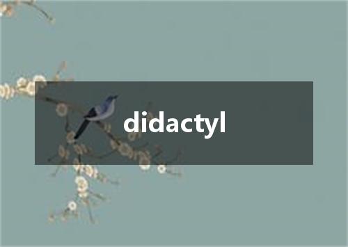 didactyl是什么意思