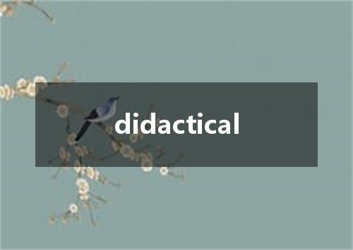 didactical是什么意思