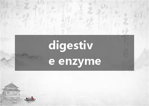 digestive enzyme是什么意思
