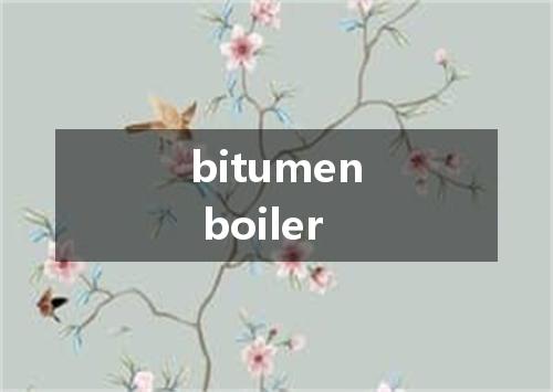 bitumen boiler是什么意思