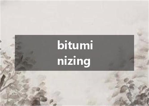bituminizing是什么意思