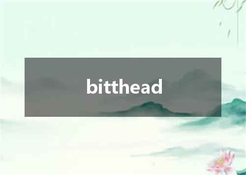 bitthead是什么意思