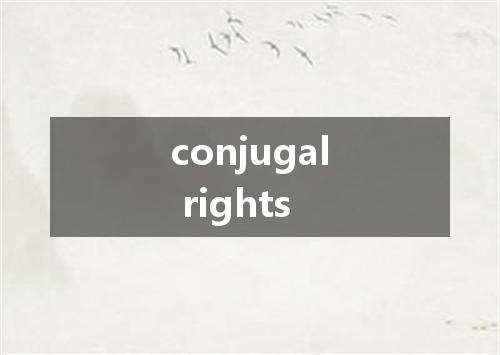 conjugal rights是什么意思