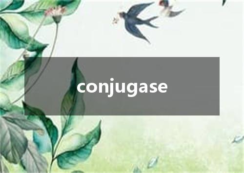 conjugase是什么意思