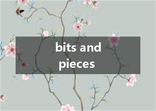 bits and pieces是什么意思