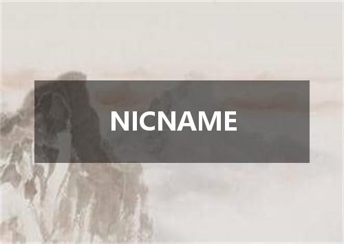 NICNAME是什么意思