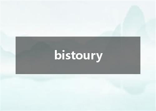 bistoury是什么意思