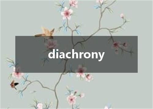 diachrony是什么意思