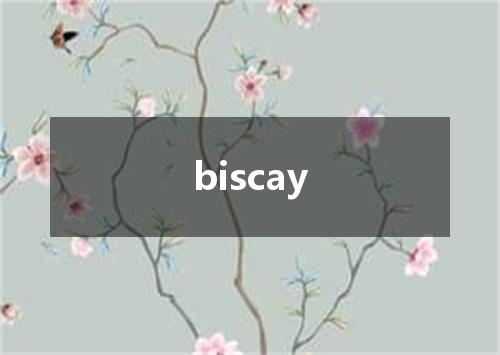 biscay是什么意思