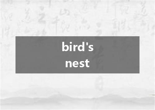 bird's nest是什么意思