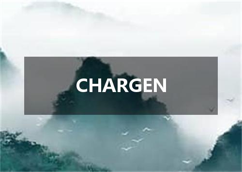 CHARGEN是什么意思