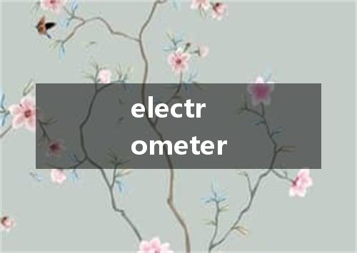 electrometer是什么意思