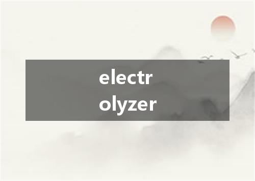 electrolyzer是什么意思