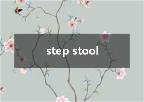 step stool是什么意思