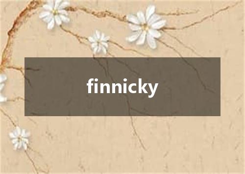 finnicky是什么意思