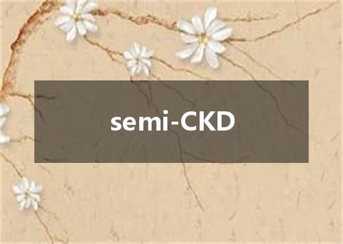 semi-CKD是什么意思